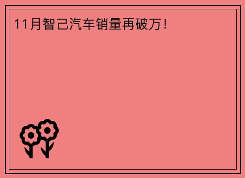 11月智己汽车销量再破万！